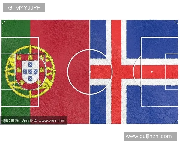 葡萄牙与冰岛比赛主裁判表现分析及其对比赛结果的影响